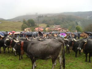 Feria de ganado