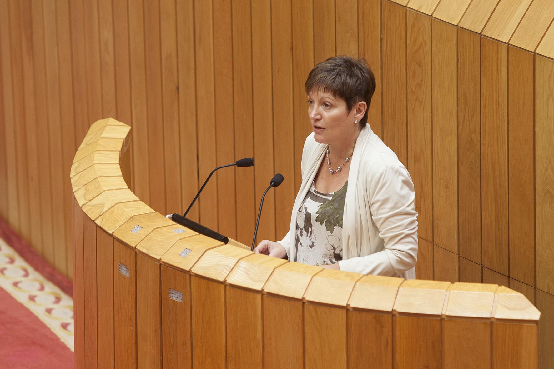 A conselleira de Sanidade, Rocío Mosquera Álvarez, informou hoxe, no Pleno do Parlamento de Galicia, das medidas postas en marcha polo seu departamento en relación ao virus do ébola.  Autor: Xoán Crepo