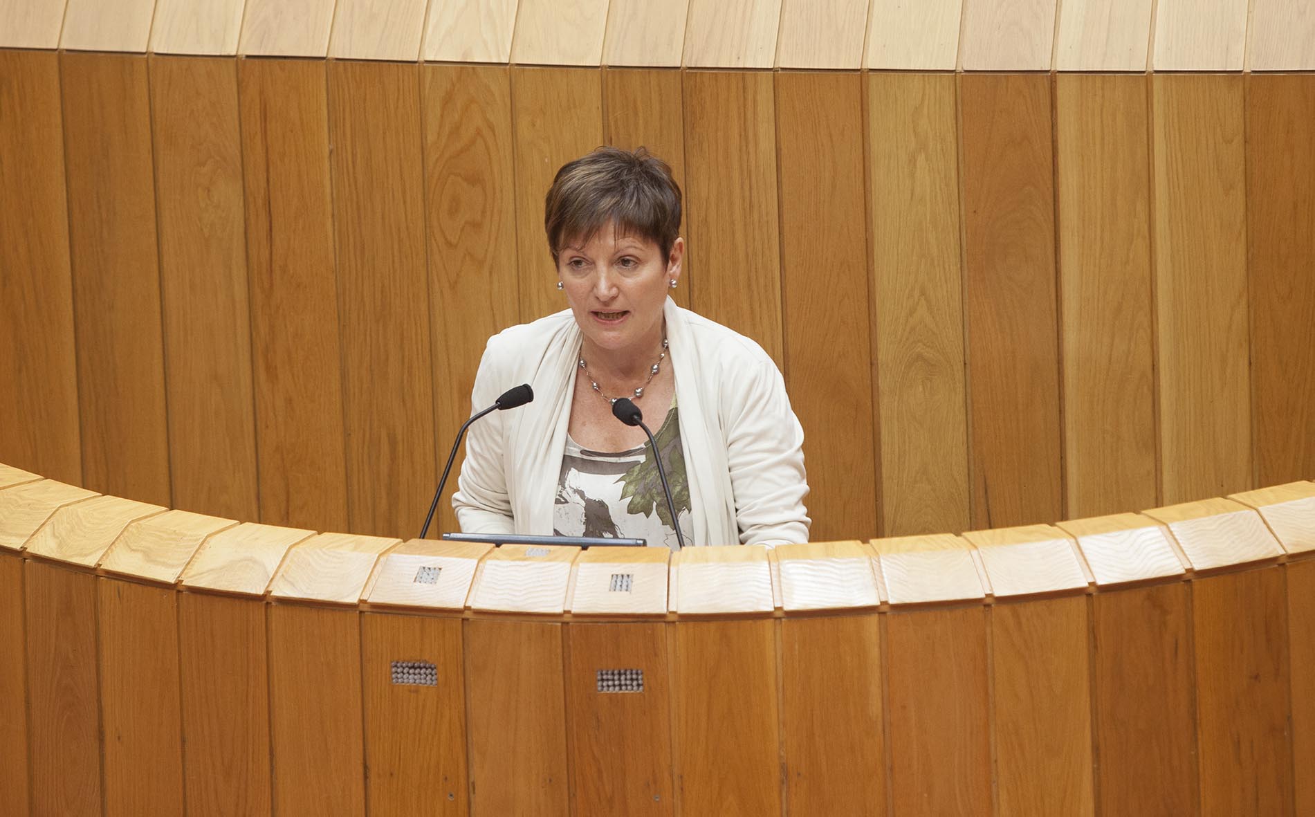 A conselleira de Sanidade, Rocío Mosquera Álvarez, informou hoxe, no Pleno do Parlamento de Galicia, das medidas postas en marcha polo seu departamento en relación ao virus do ébola.