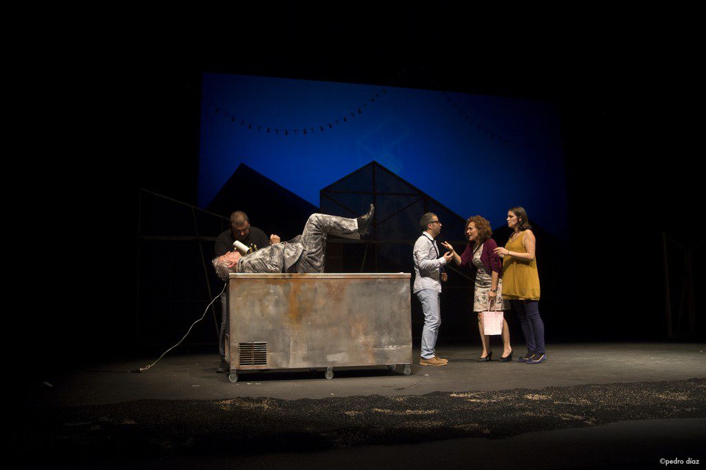 Carne de gallina Secador (3)