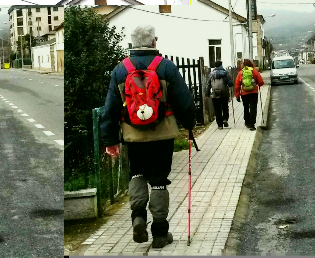 asociacion pulchra leonina