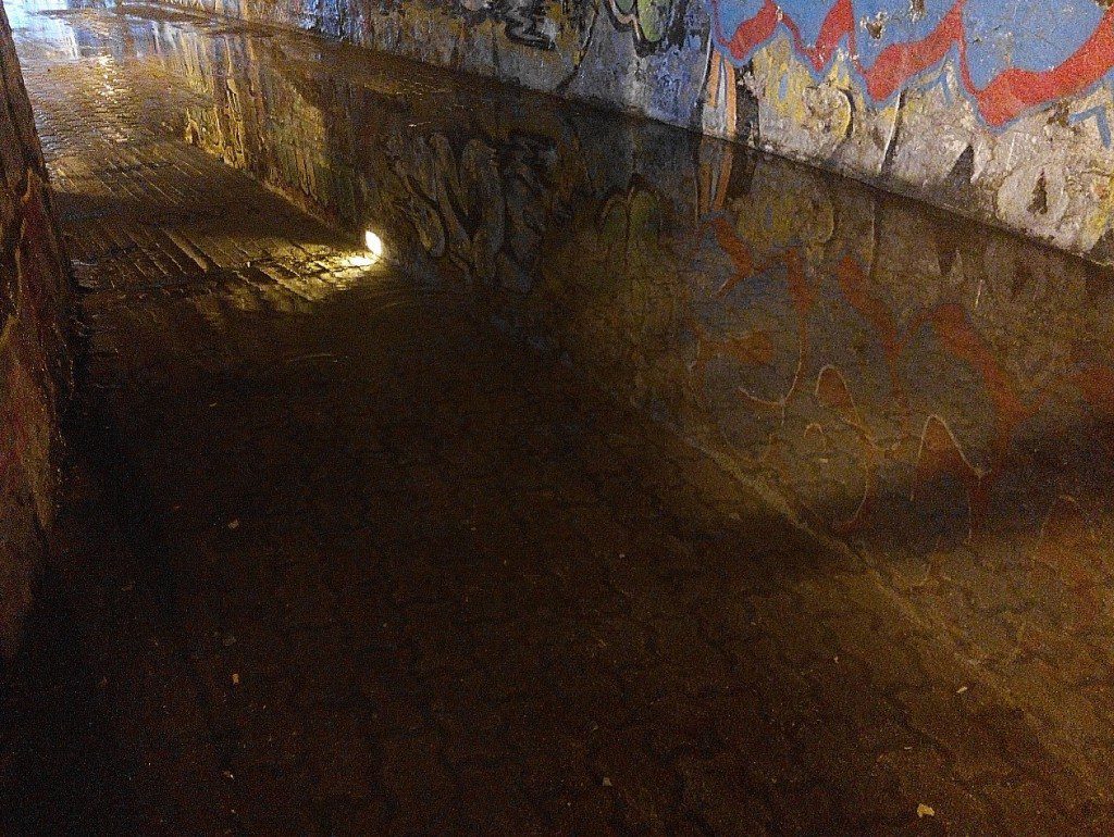 IMG_20150504_175849-1