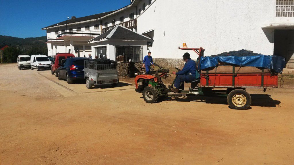 colas en la cooperativa