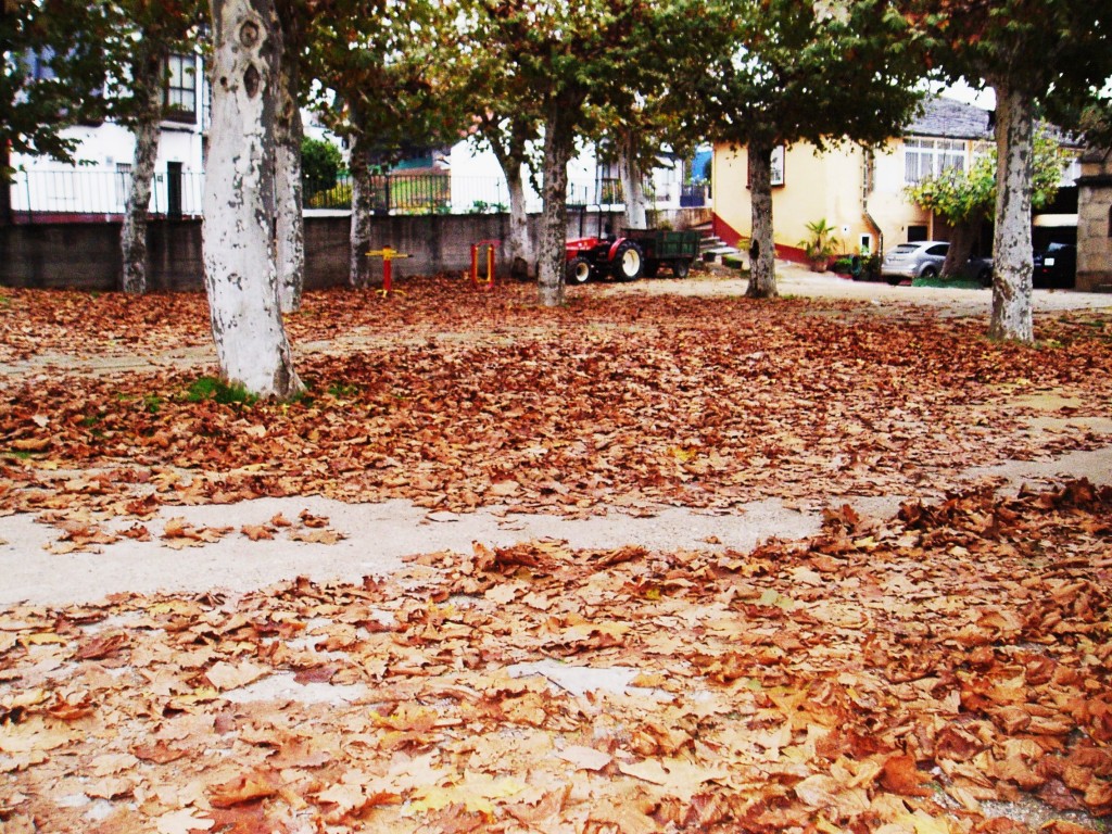 Manta de hojas en el Campo de San Roque de A Rúa