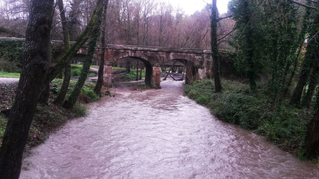Río Leira de Vilamartín