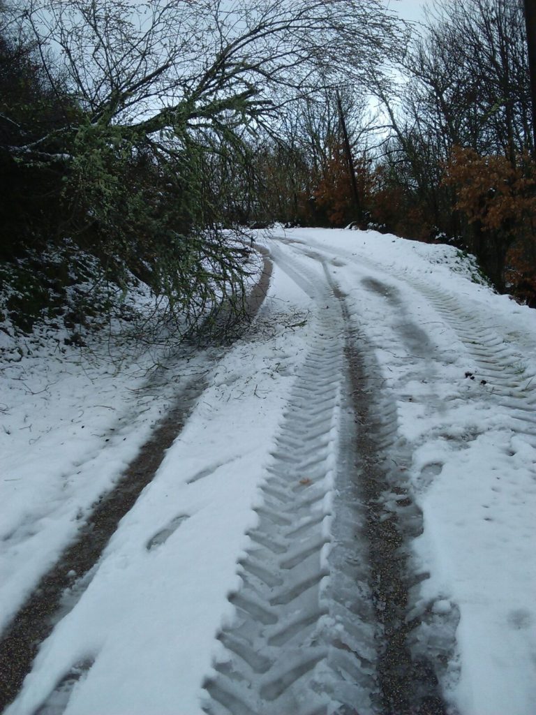 Las huellas del rodamiento sobre la carretera nevada