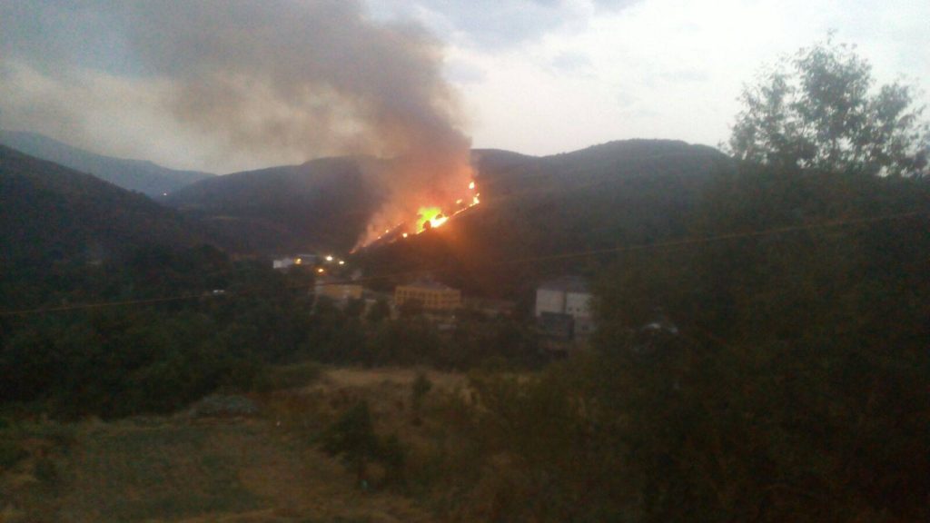 13694229_1764158987162500_674292194_o