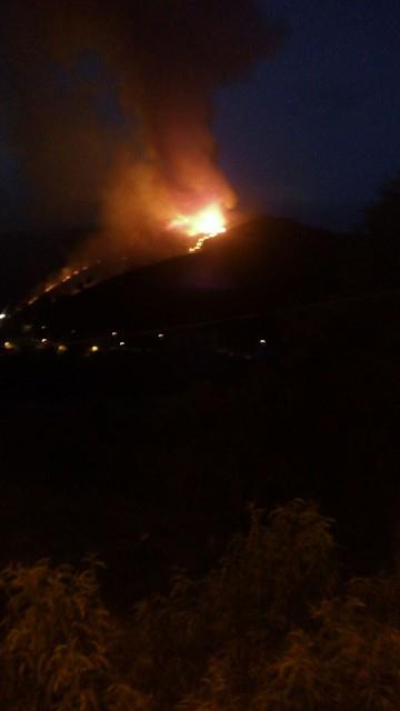 13695809_1764159003829165_279792343_n