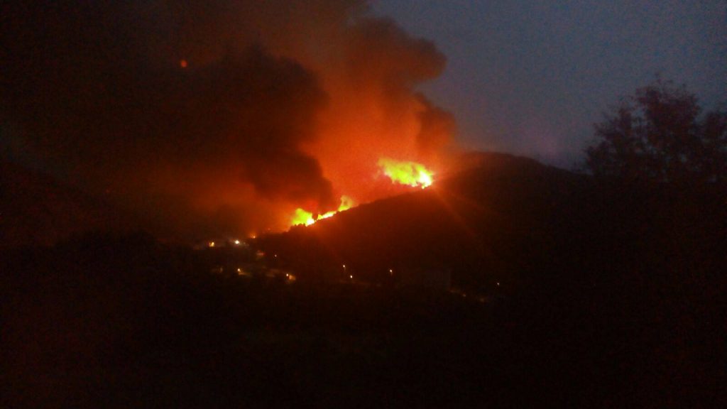 13709582_1764159000495832_432930618_o