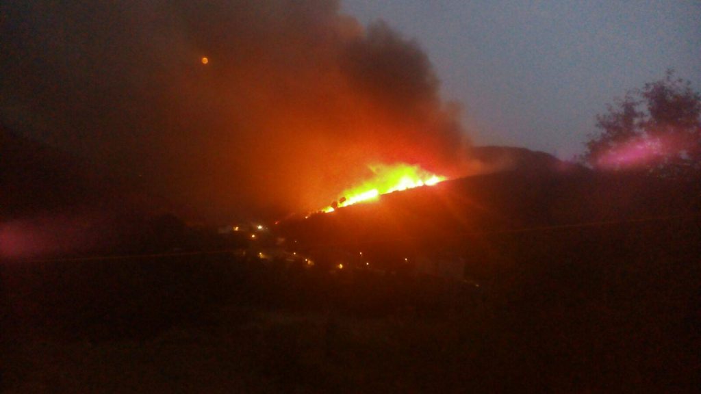 13718116_1764159017162497_1298524999_o