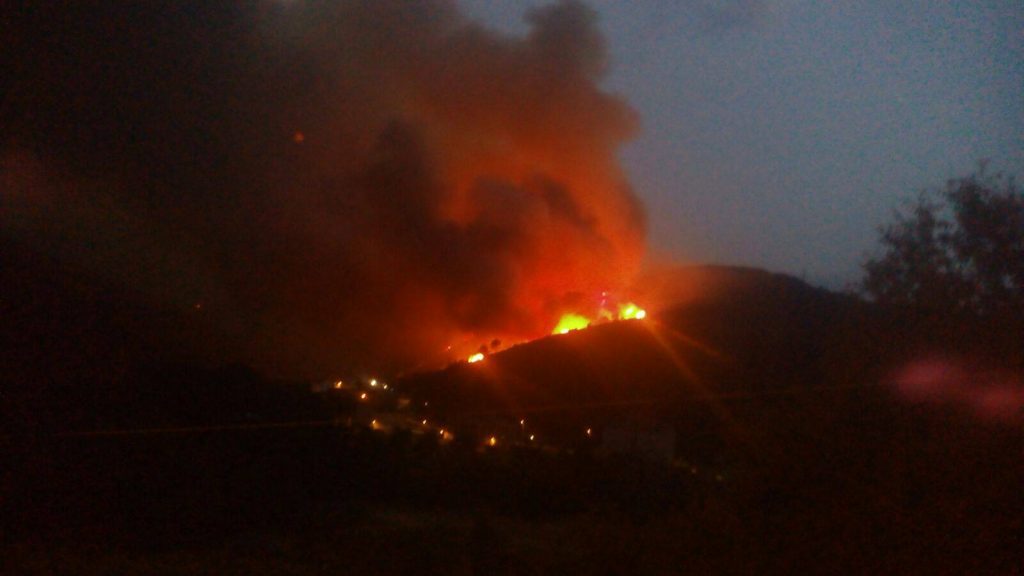 13728390_1764159013829164_1718490172_o