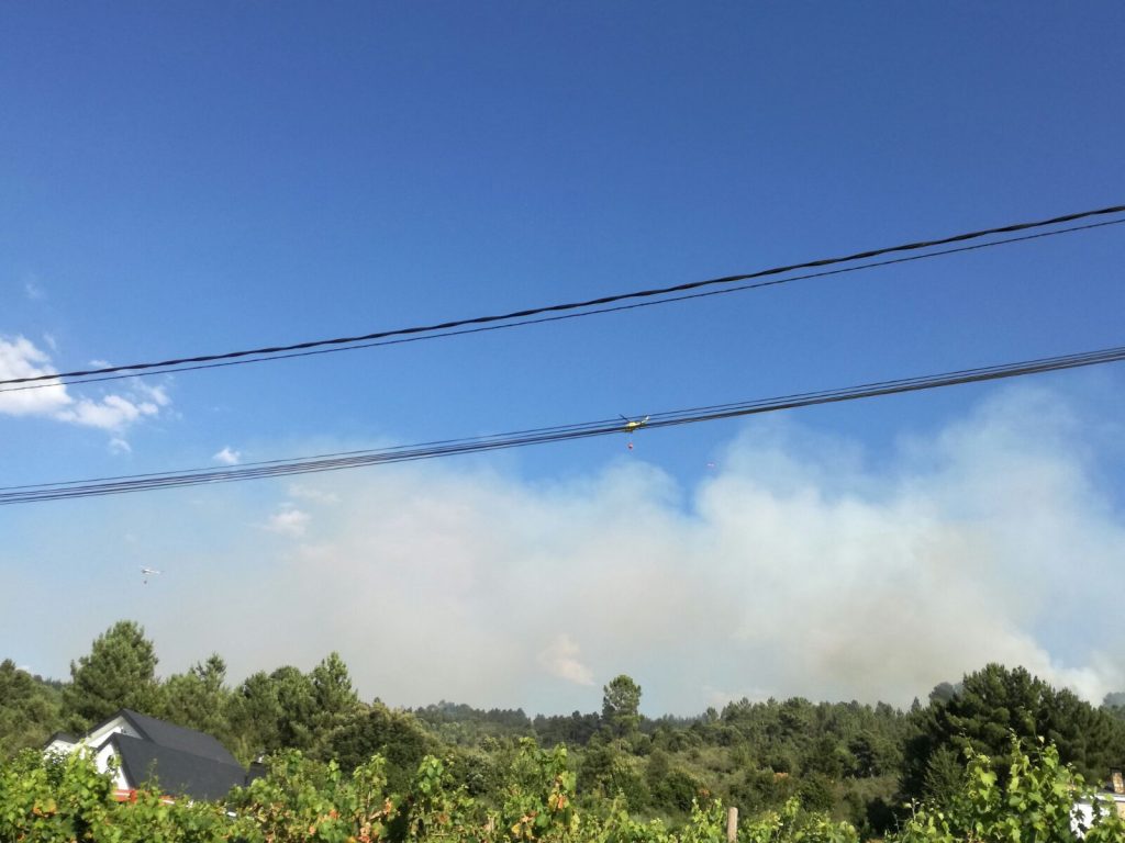 Foto Incendio Nerea (11)