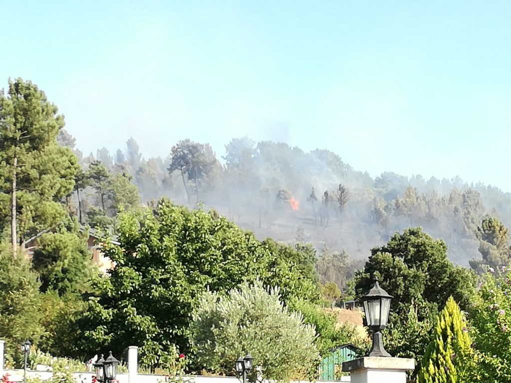 Foto Incendio Nerea (2)