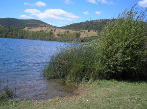 Imagen del Lago de Carucedo (comarca de El Bierzo)