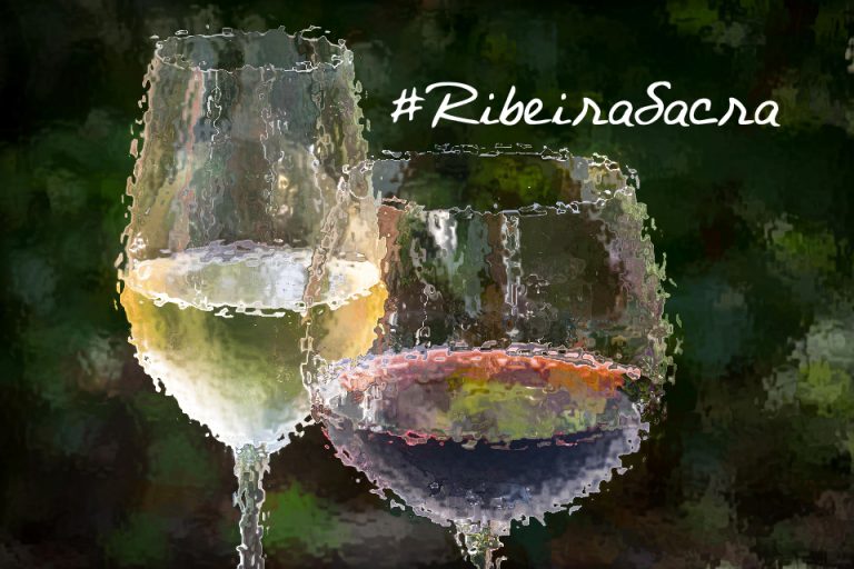 Copa de vino blanco y de vino tinto de la Ribeira Sacra