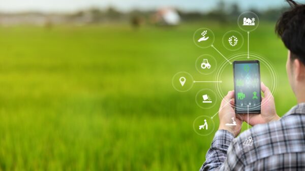 Agricultor consultando una tableta en medio de un campo agrícola, simbolizando la digitalización en el mundo rural