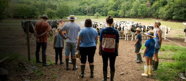 Visita guiada con escolares a la ganadería vacuna de La Fageda